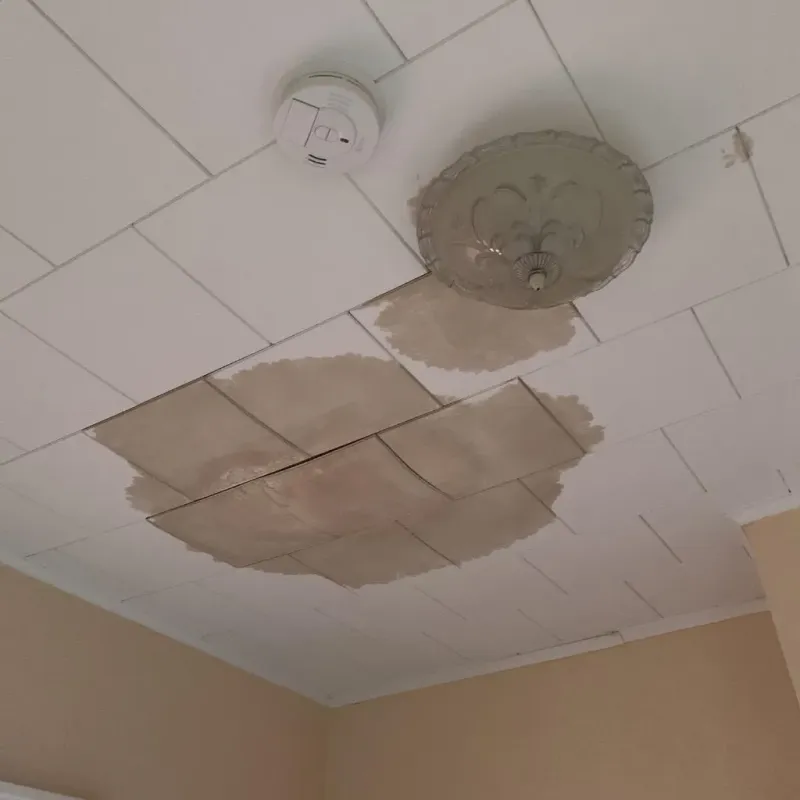 Ceiling Water Damage Repair in Iowa County, IA