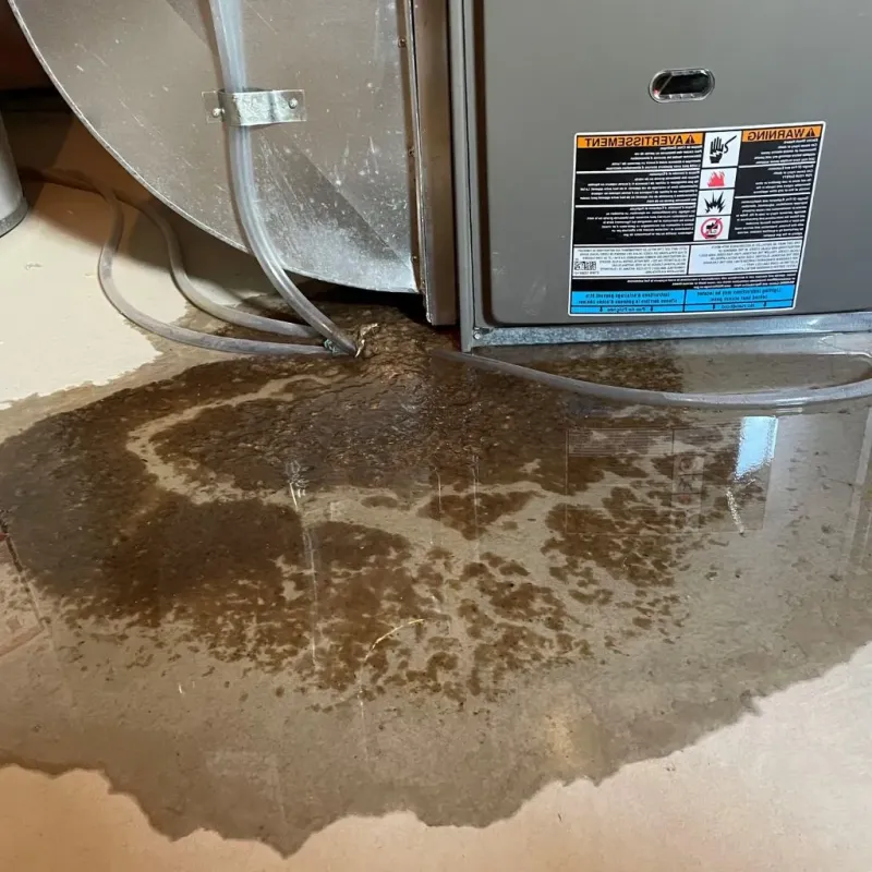 Pipe Burst and Leak Restoration in Iowa County, IA