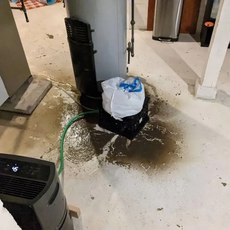 Sewage Backup Cleanup Service in Iowa County, IA